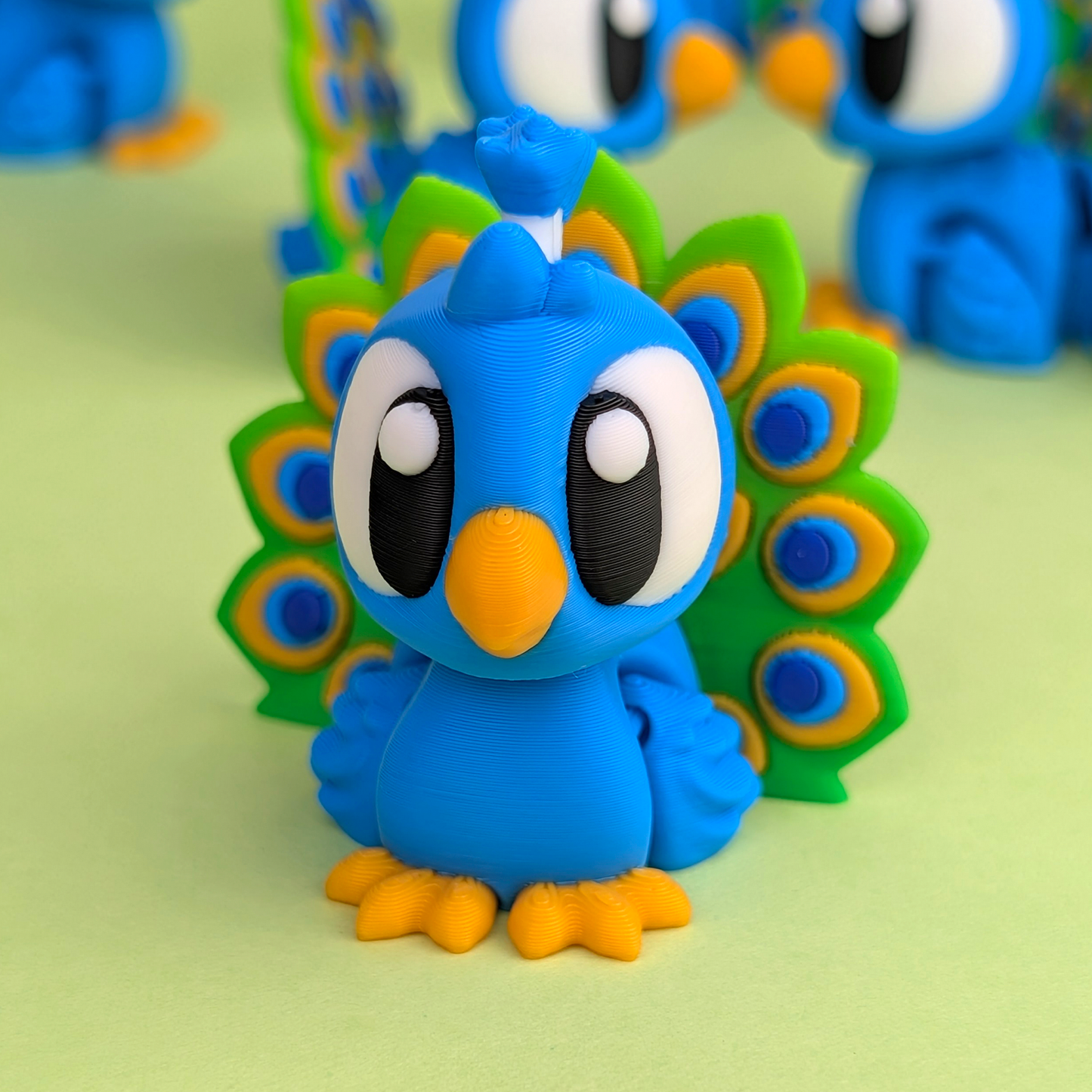 Flexi Peacock