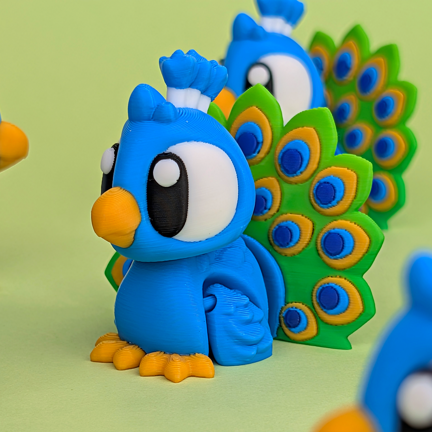 Flexi Peacock
