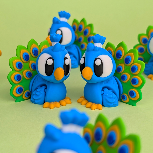 Flexi Peacock