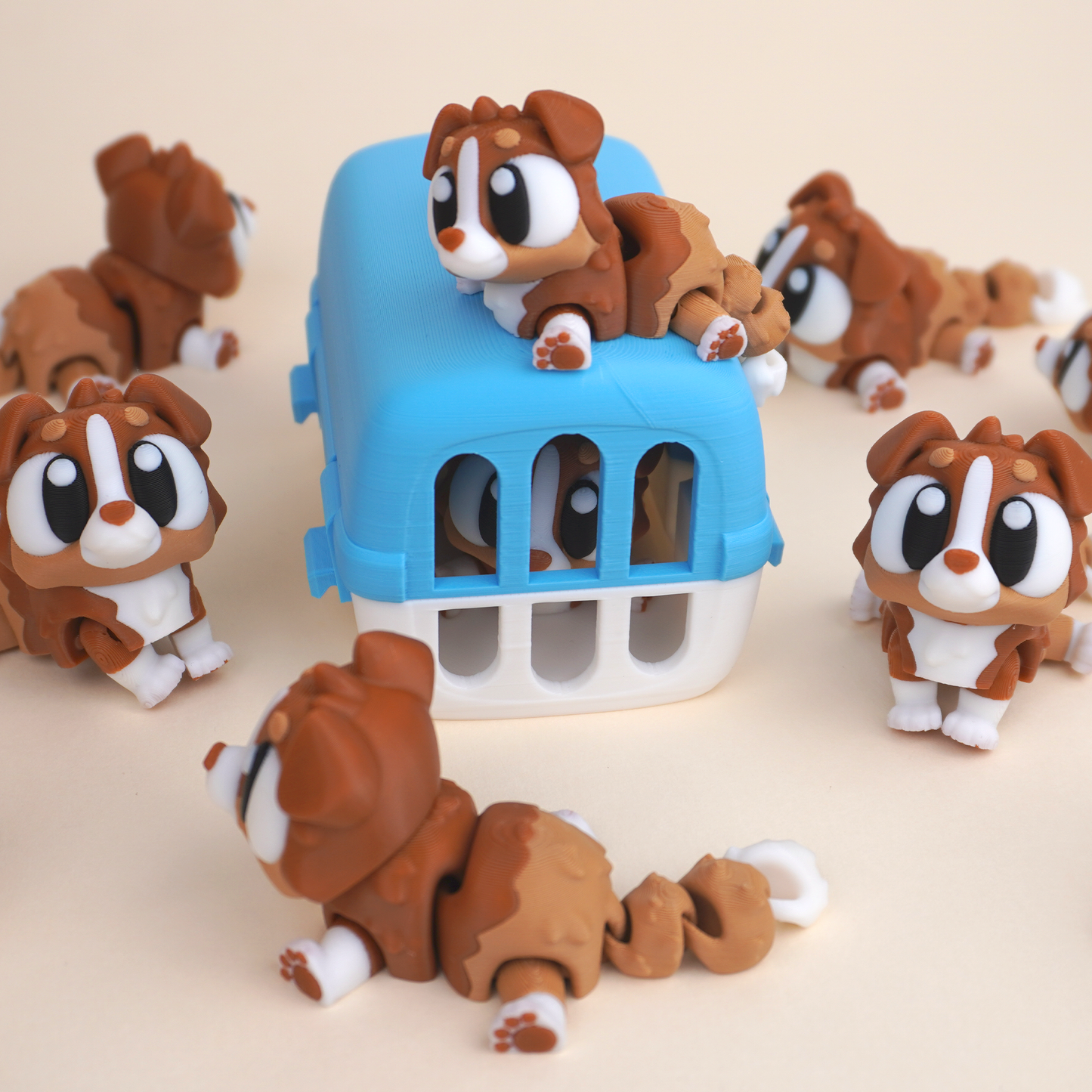 Flexi Pet Carrier Bundle